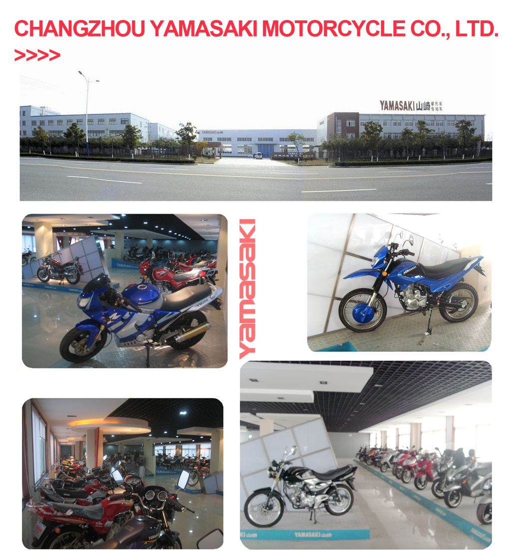 OEM 110cc Gas Motorcycle Cub City Sport Motor Bike/Scooter