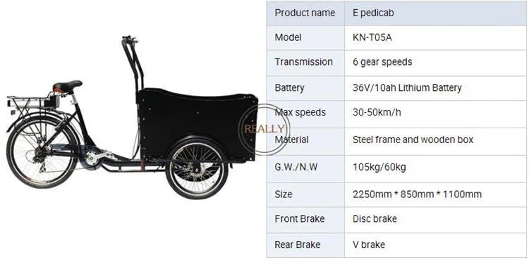 Rl-T03A Most Popular 30-35km/H Food Bike