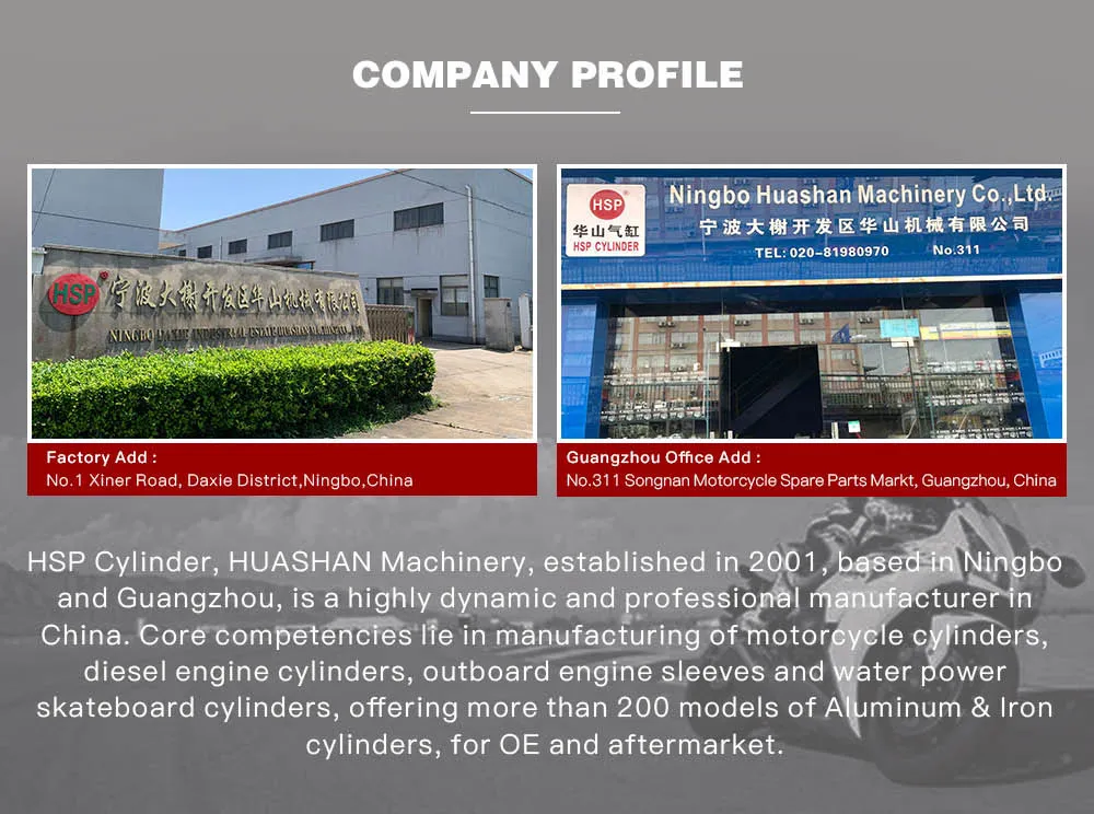 Scooter Engine Parts Motorcycle Cylinder Block Kit for Honda WH100 (GCC100) WH110 (GGC110)