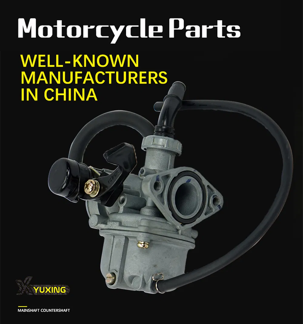 South Americal Motorcycle Parts Motorcycle Engine Carburetor for Bajaj100
