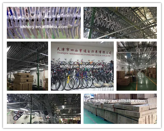 Su26dbx629 26inch Full Suspension Steel Mountain Bike