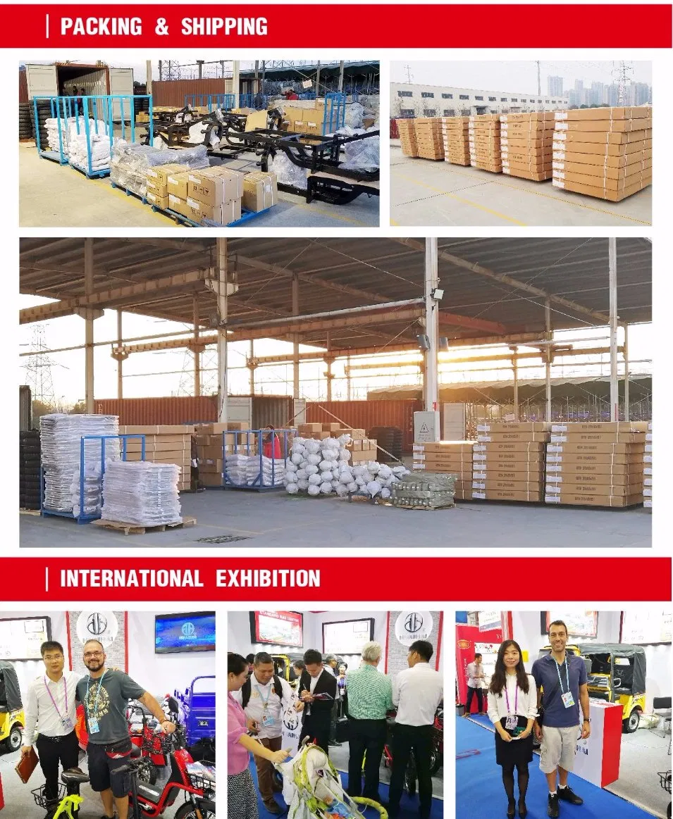 Sunproof 1000W Motor Powerful Electric Cargo Tricycle with Low Cost