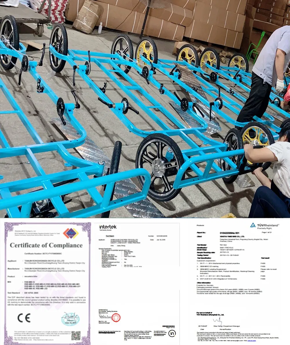 Surrey Bikes Suspension Tandem Bike for Sale