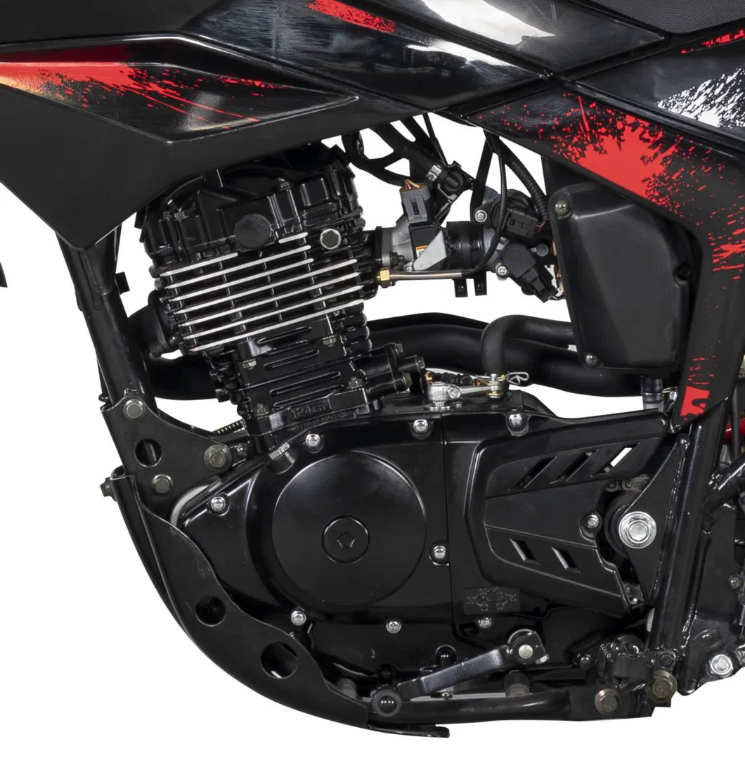 Swell Motorcycles / in Excellent Efi System