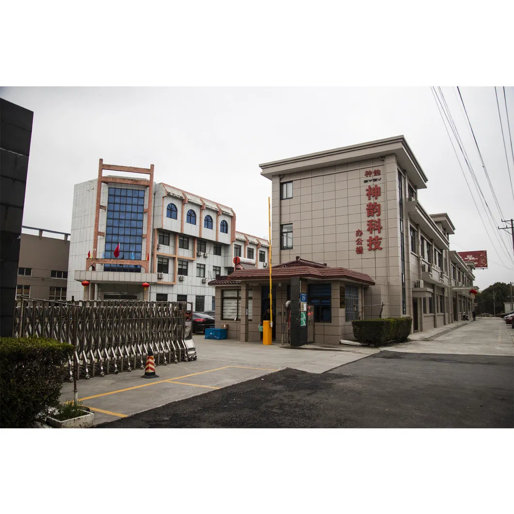 Syev Super High Power Electric Scooter with 3000W Motor Long Range 160km for Wholesale Electric Motorcycle