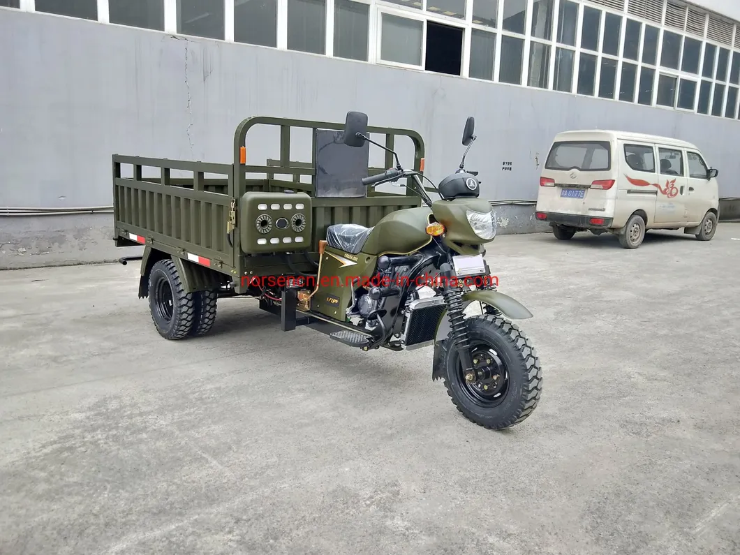 Three Wheel Gasoline Motor/Motorcycle Tricycle with Cargo Box Senegal 200cc 29
