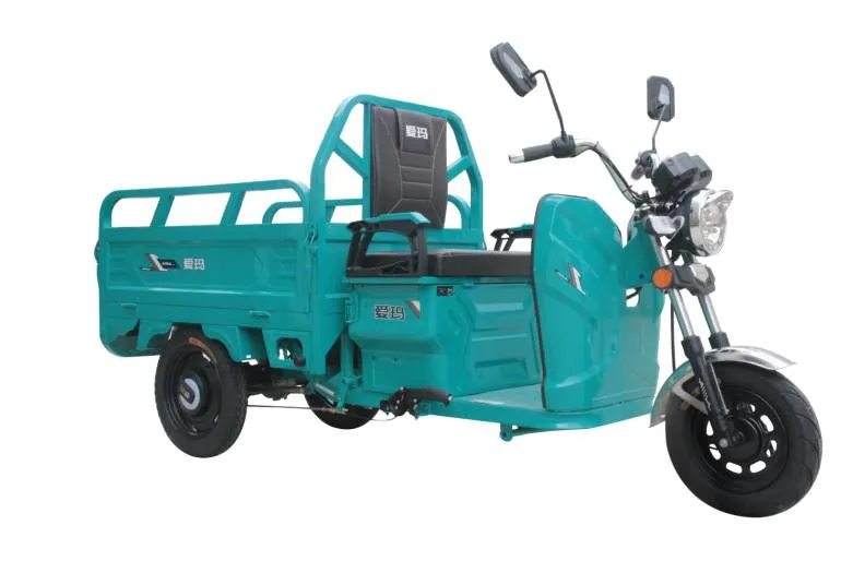 Tricycle Cargo Transport Series-Sf-T2