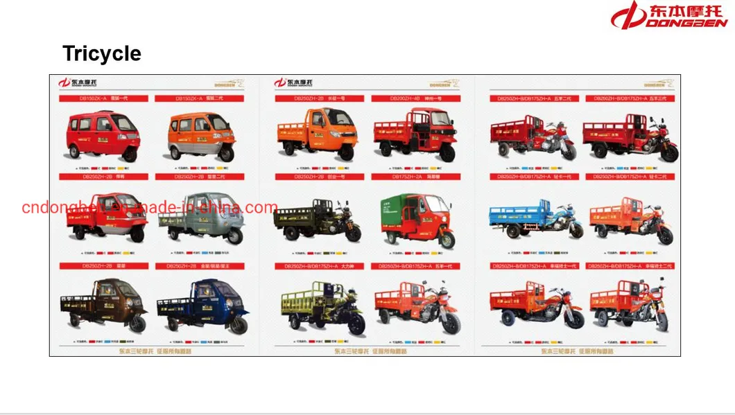 Tricycle Zongshen Loncin or Lifan Engine