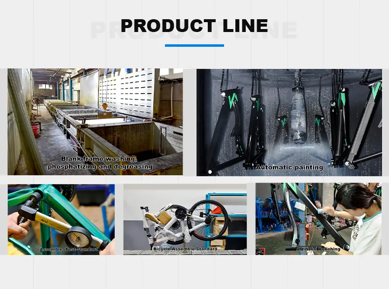 24′ ′ Carbon Steel MTB with Multi-Speed and Mudguard