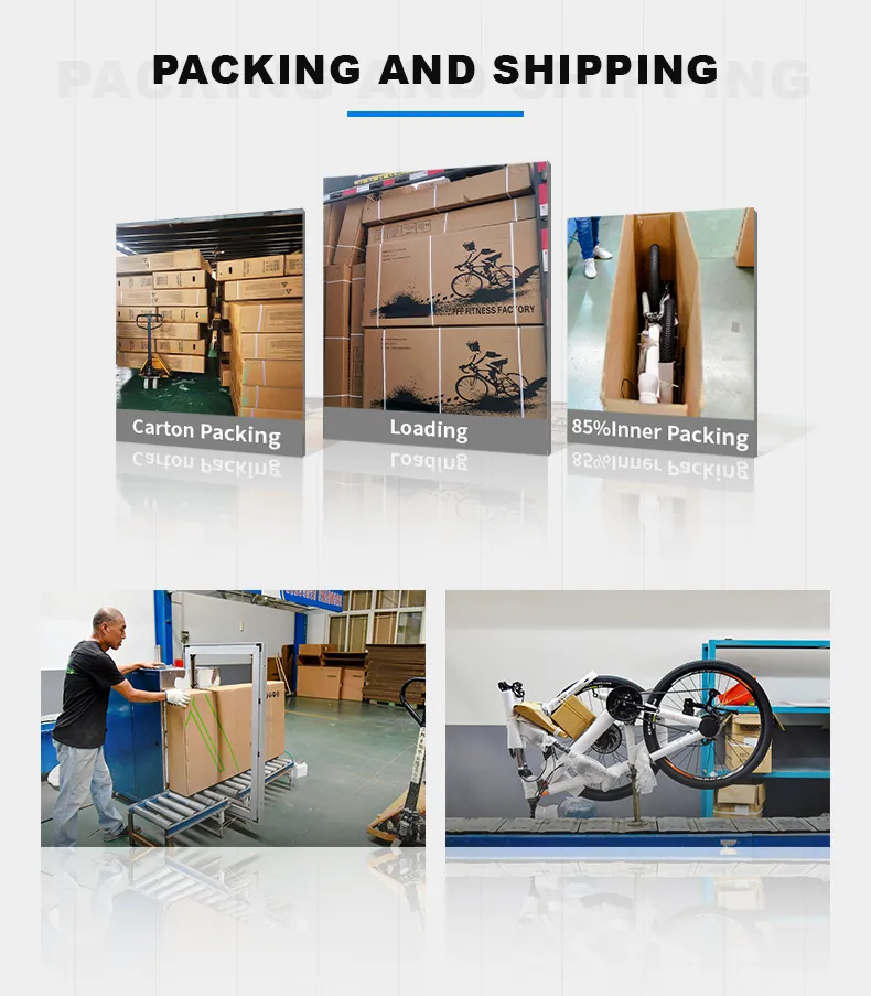 24′ ′ Carbon Steel MTB with Multi-Speed and Mudguard