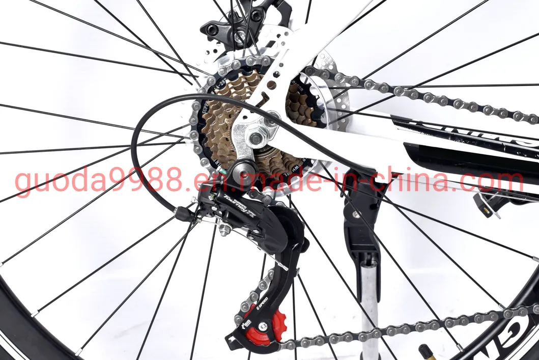 Wholesale Al Alloy Frame Road Bicycle Rdb Disc Brake for Adult